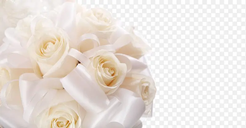 ��ɫõ�廨��-������