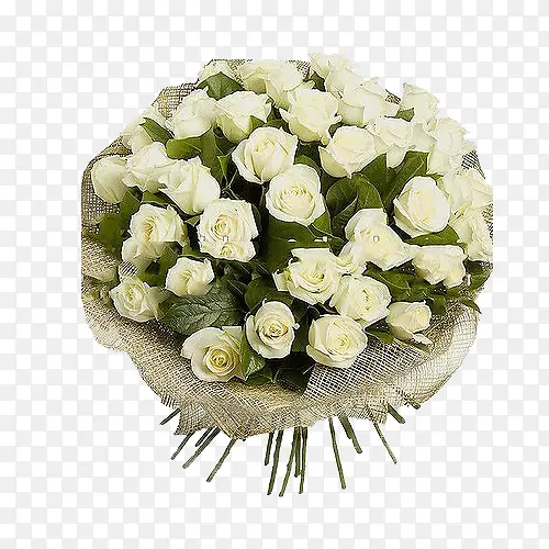 ��ɫõ��-������