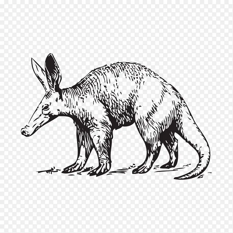 ���趯��-������