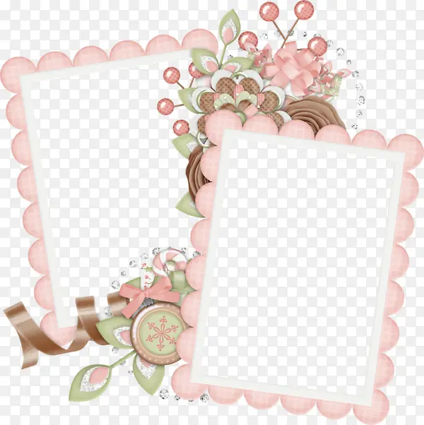 �ɰ��������-������