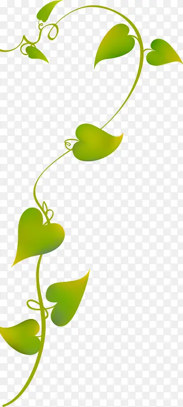 ����ɫ�ָ�������Ҷ-������