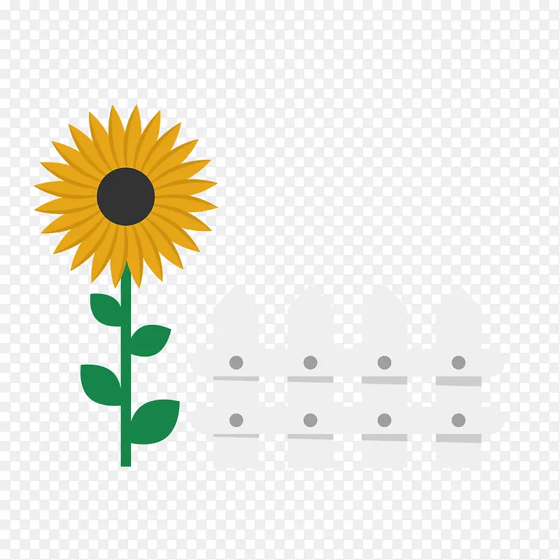 ���տ��Ա߰�ɫ��ƽ�����ȷֲ���-������