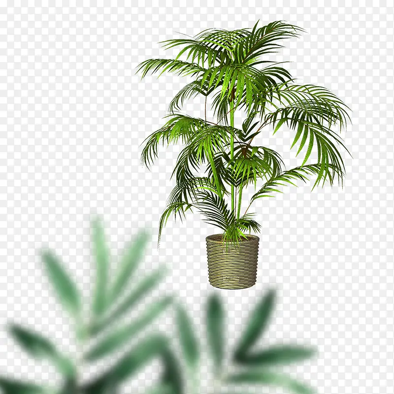 ��Ʒʵ����ɫ��������-������