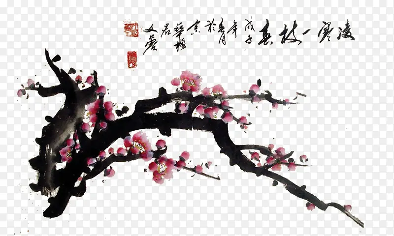 ��֦-������