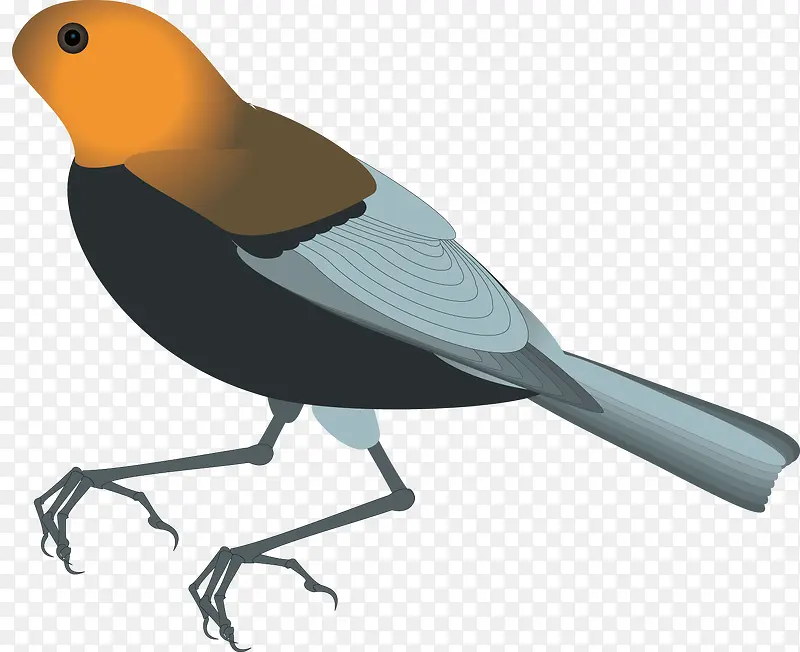 ��ͨ��ľ��װ��ʸ���ز�-������