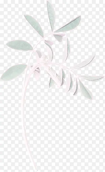 ��֦����ز�-������