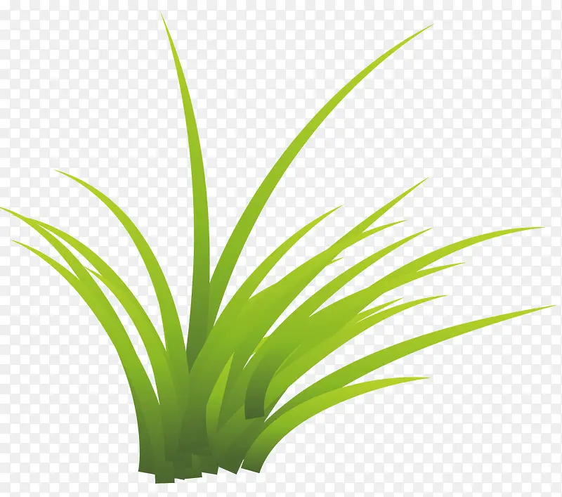 ��ɫ�Ĳ�-������