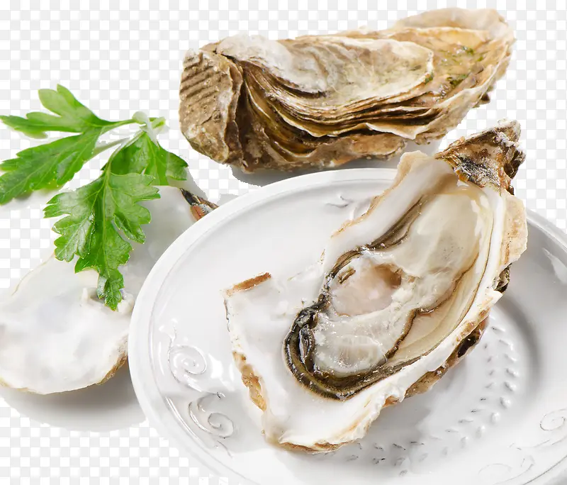 �������-������