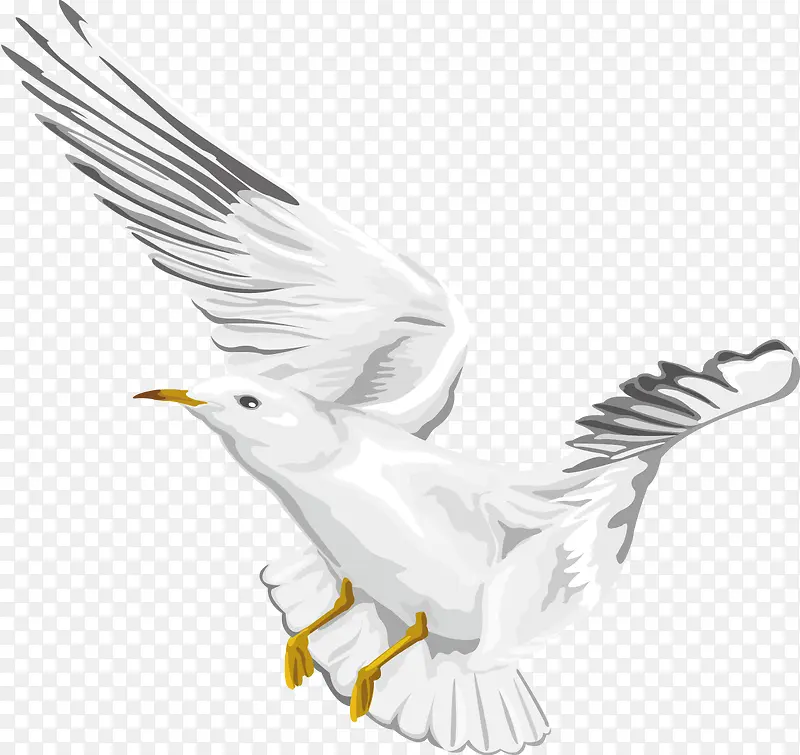 ��Ÿװ�����ʸ��ͼ��-������