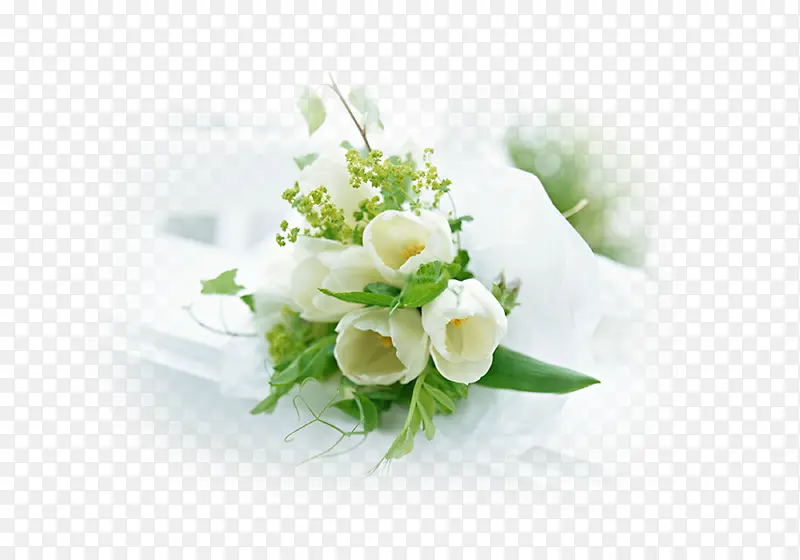 ��ɫ����-������