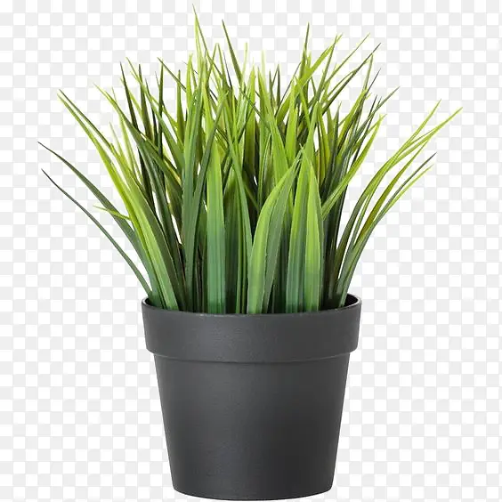 �����辰-������