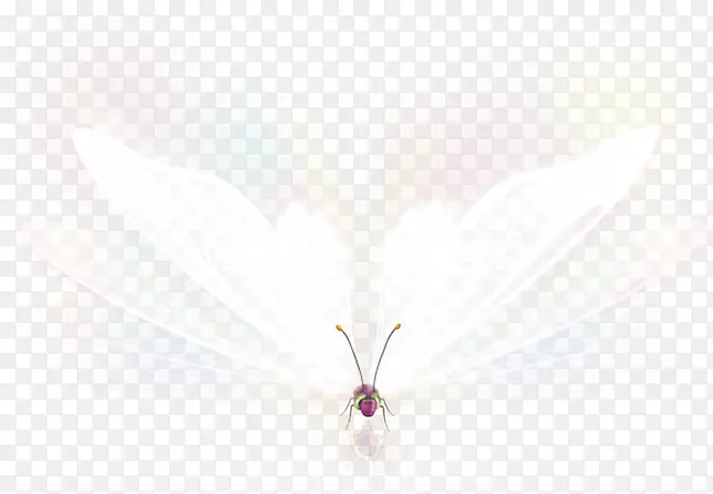 �λ÷������-������