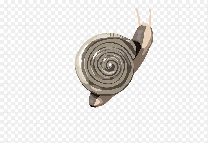 ���е���ţ-������