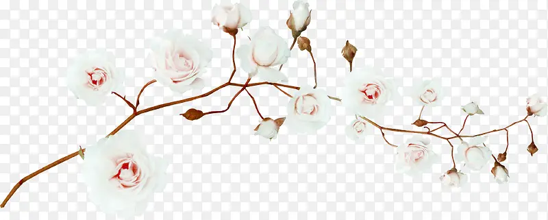 ��ɫ��֦����װ��ͼ��-������