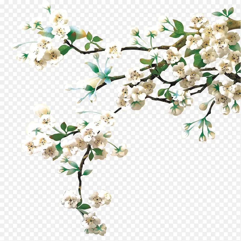 ��֦-������