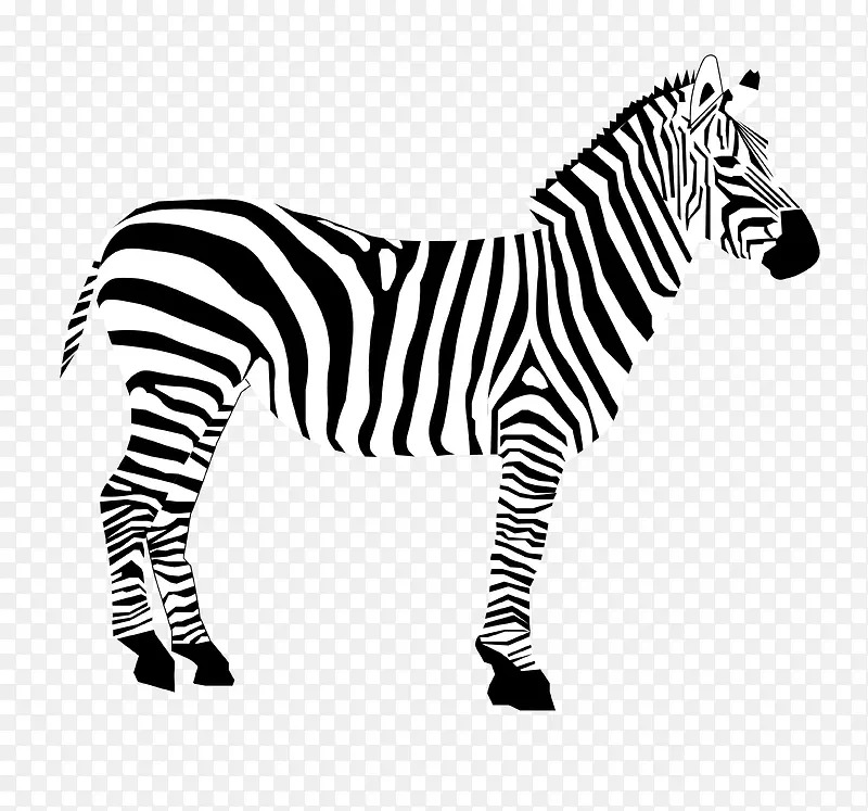 ��ͨ�ɰ�С����װ�ζ���ͷ��-������