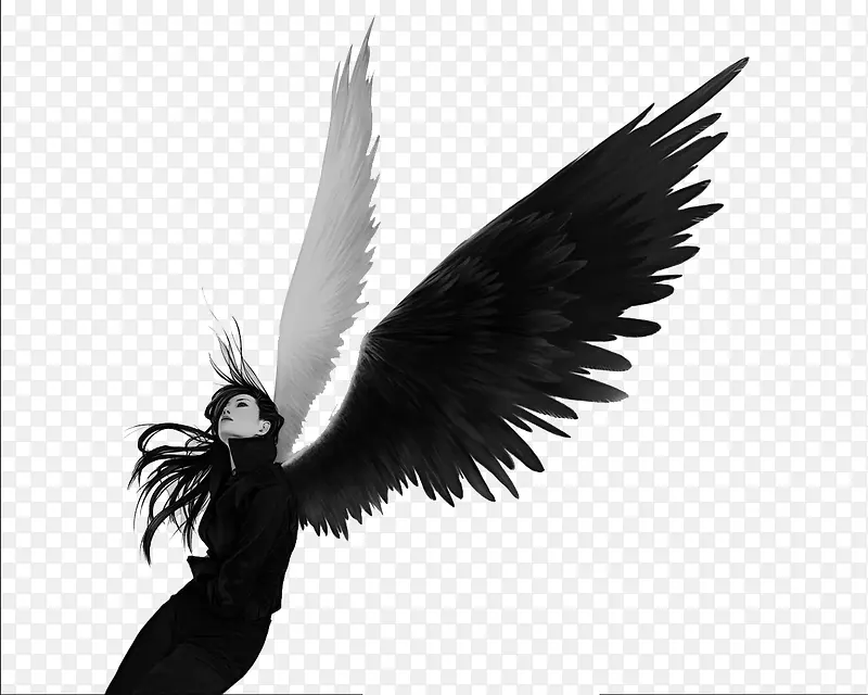 �ڰ׶Ա�-������