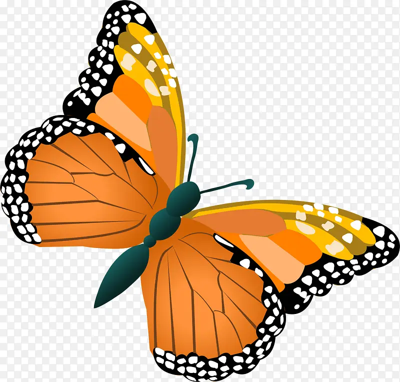 ��ɫ��ͨ����-������