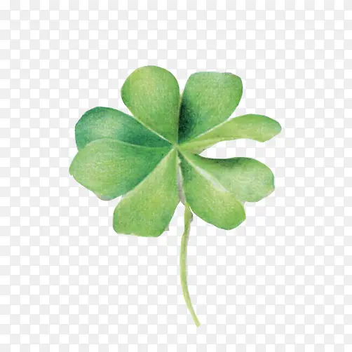 ���˲��ֻ��ز�ͼƬ-������