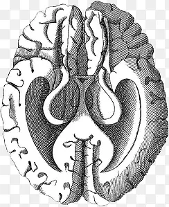 �ֻ����-������