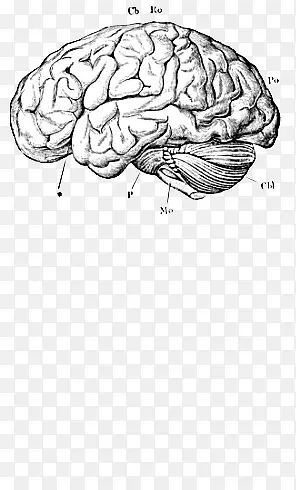 �ֻ����-������