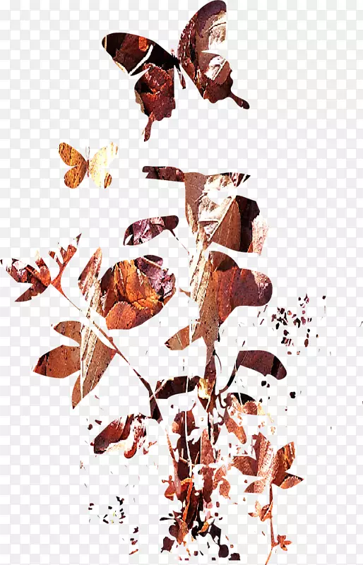 ������http��cookie��agritur��malga arpaco������Ϳѻ-������