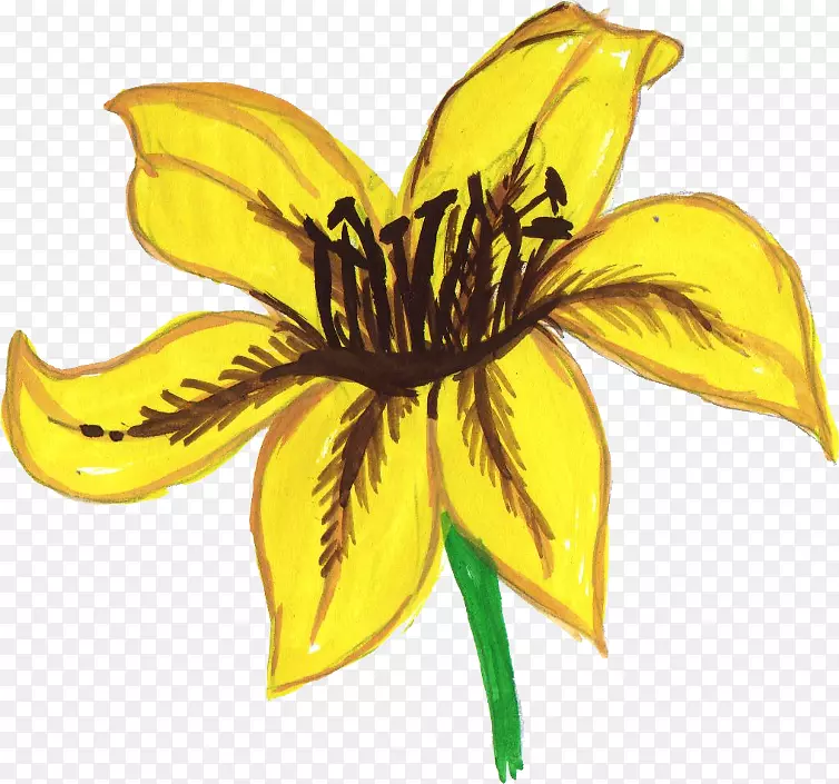 ˮ�ʻ����������տ��ٱ���ˮ�ʻ�-������