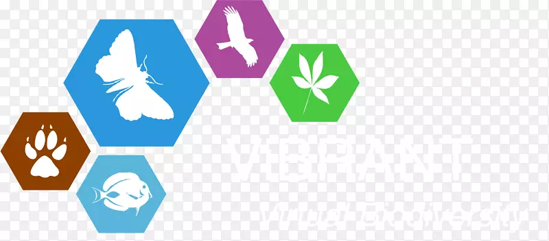 ��������Կ�ѧ�о���Ŀ-��������-������