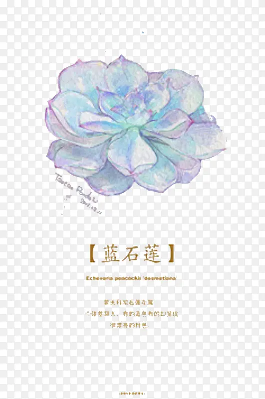 ֲ��-������