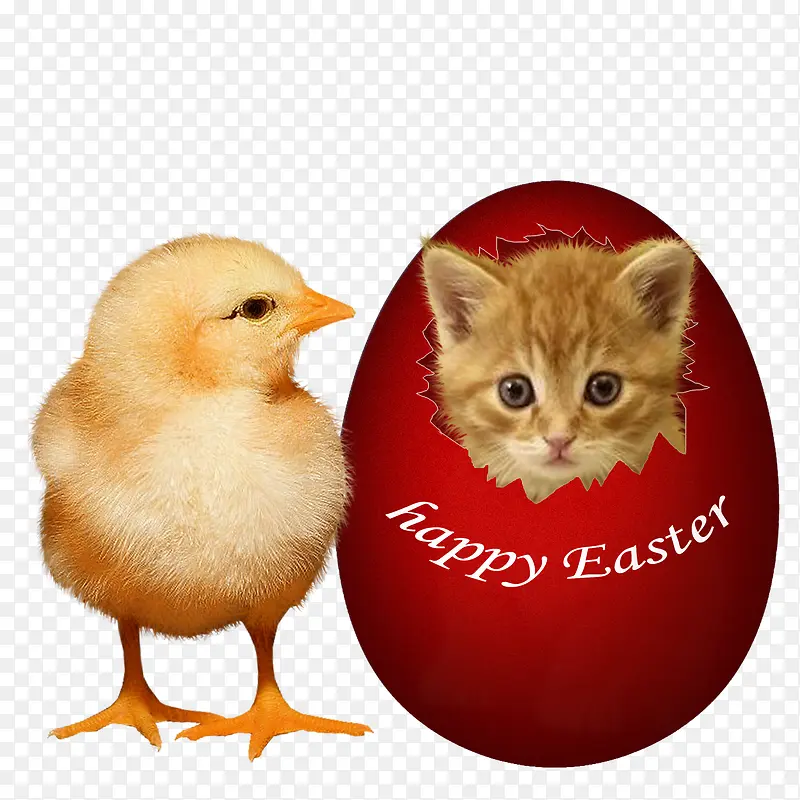 �ֻ��زĶ��� Сè С��-������