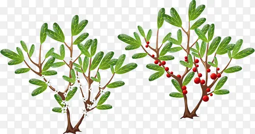 ˮ����-������