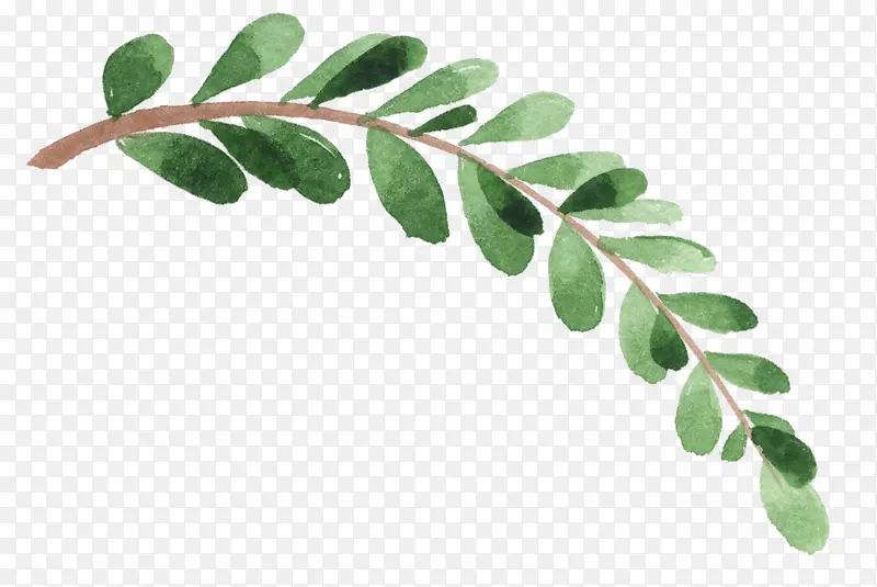 ��ɫ��֦�ʻ�廭-������