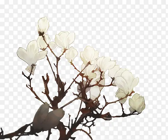 ������-������