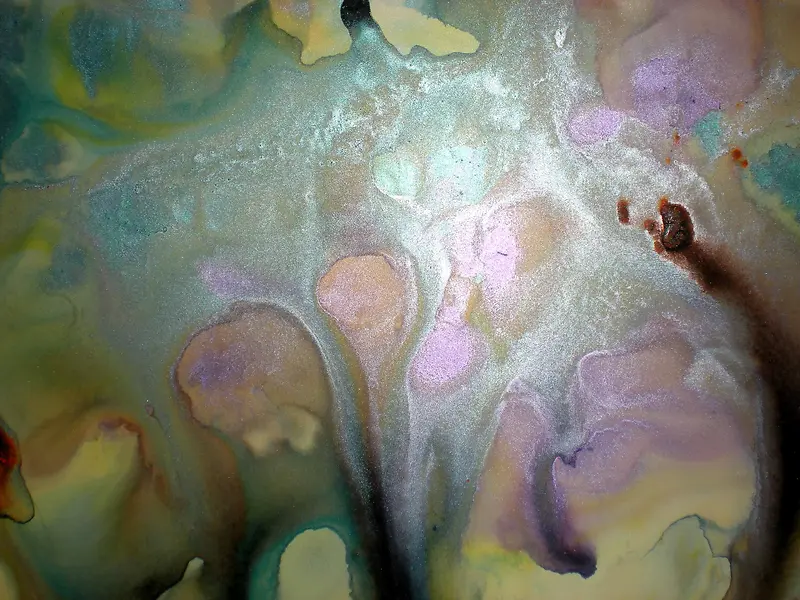 ���ջ��Ʊ���-������