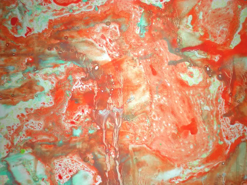 ��ɫ���յ��Ʊ���-������