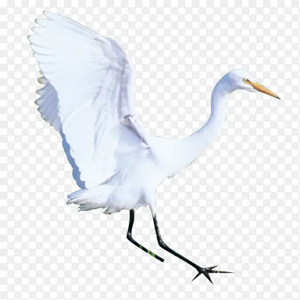 �ɺ�-������