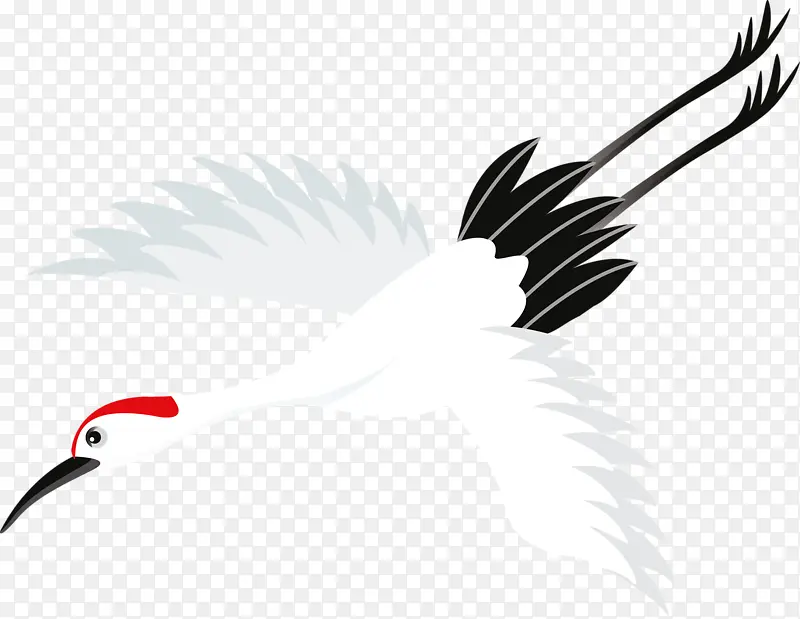 ��ɫ�ɺ�-������