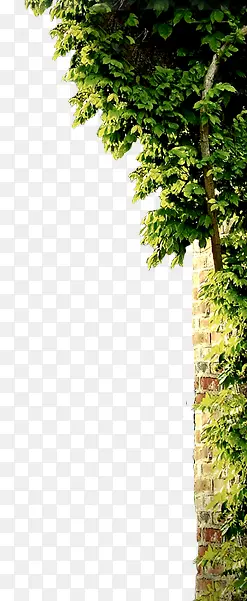 ����-������