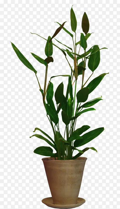 ������-������