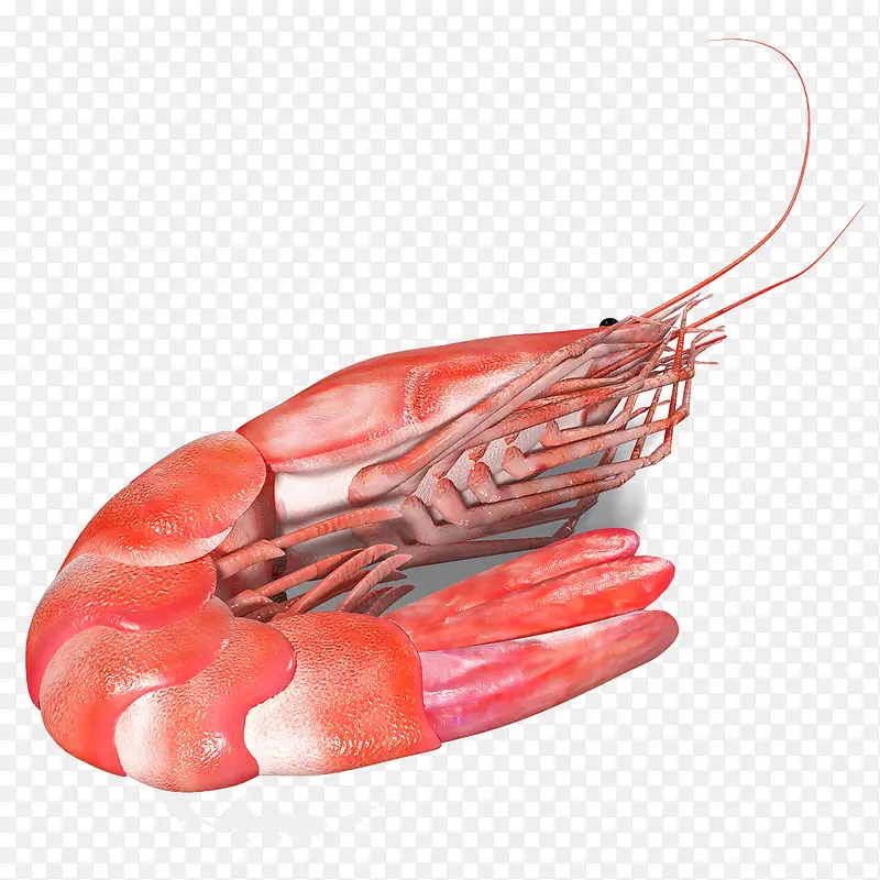 ������Ϻ-������