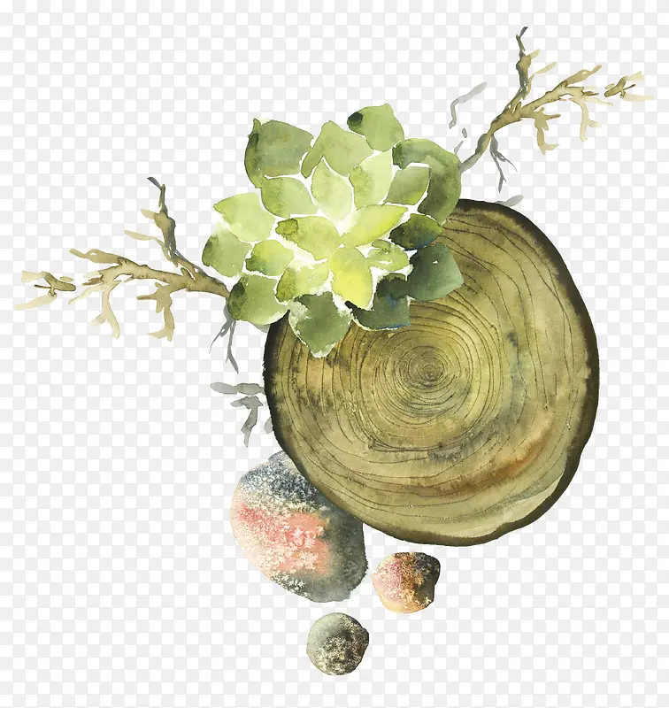 ֲ��װ��-������