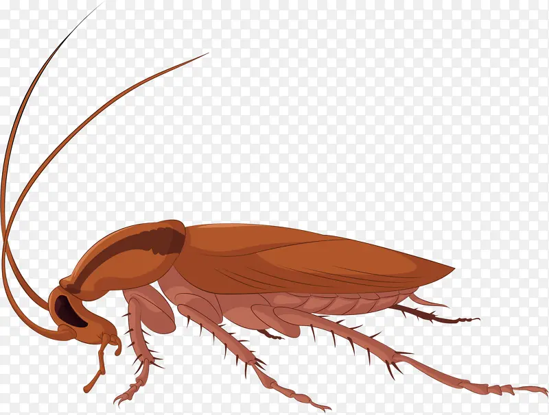 С����-������