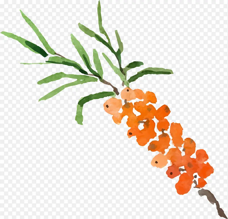 �ֻ�ˮ�ʳ�ɫ��ʵ-������