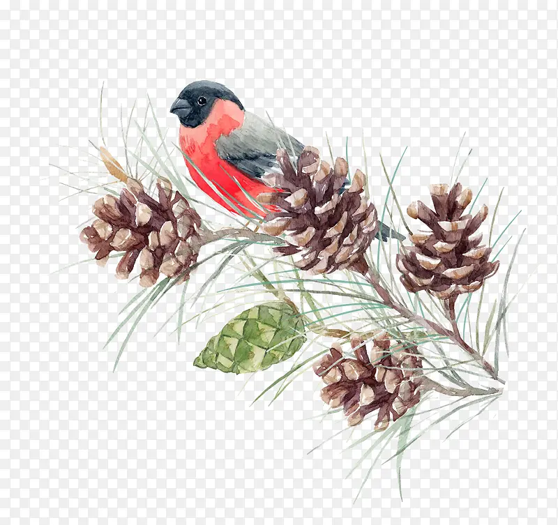 վ����֦�ϵĺ�ɫС��-������