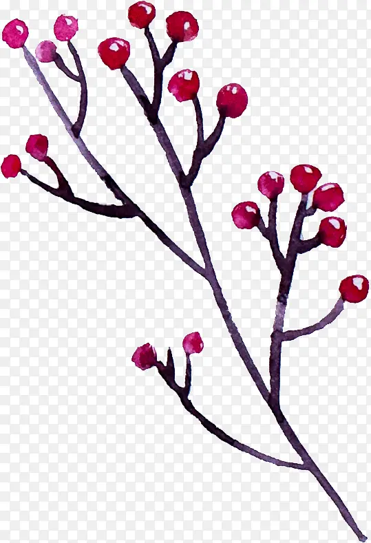 ˮ��ֲ��-������