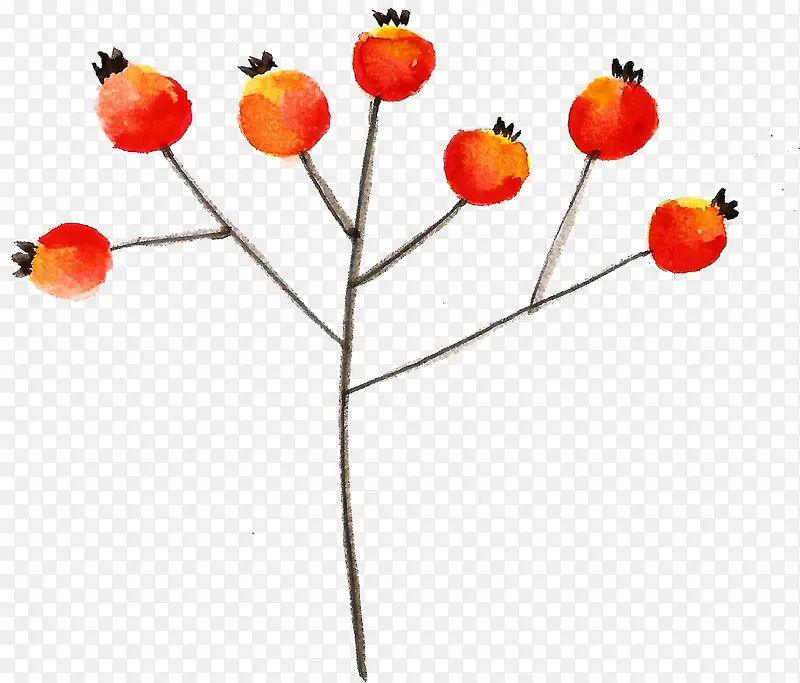 ˮ��ֲ��-������