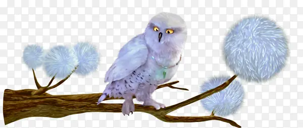 ��֦����Ϣ��èͷӥ-������