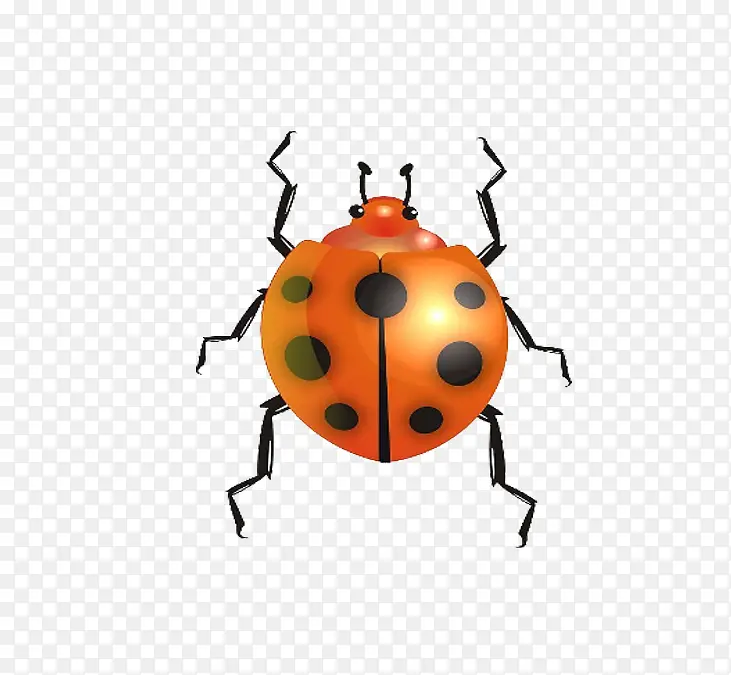 ����ز�����ͼƬ-������