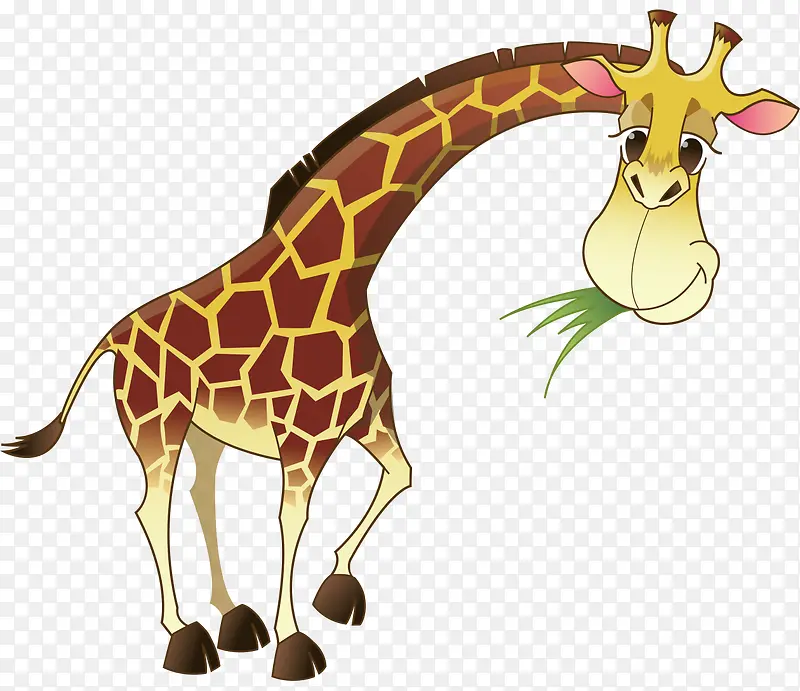 ��ͨ�ֻ�Բݳ���¹-������