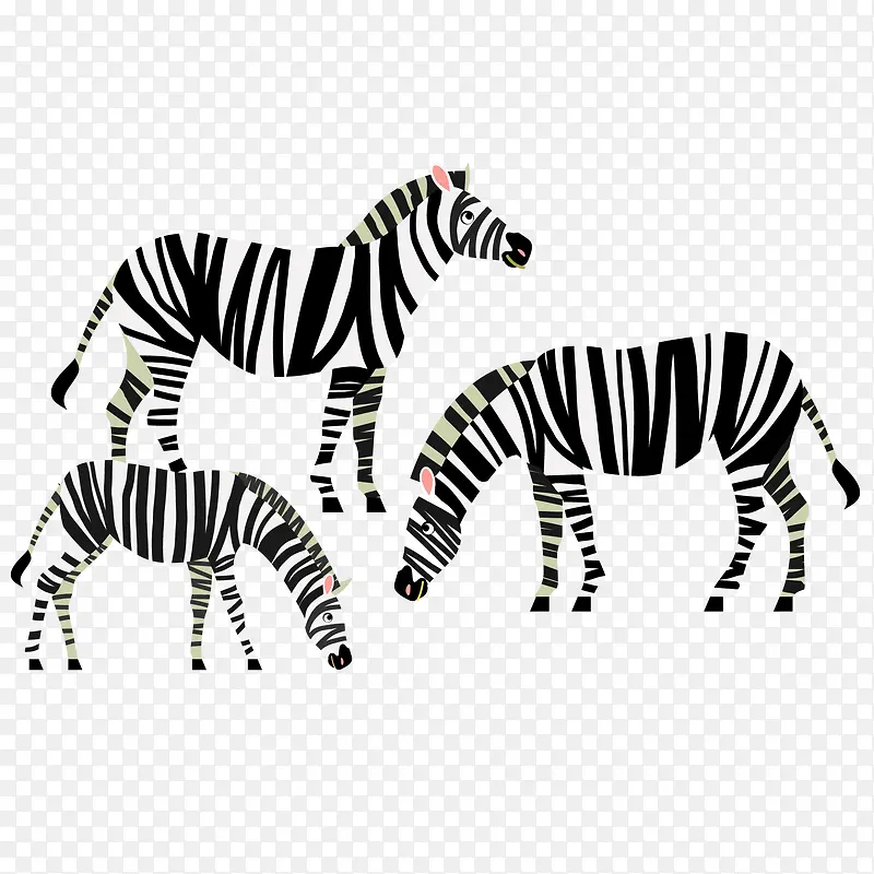 ��ͨ�����������-������